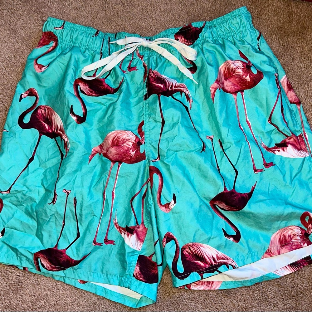 Blue & Pink Flamingo Swim Trunks
